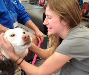 PAWS events provide students with canine friends for spontaneous cuddling