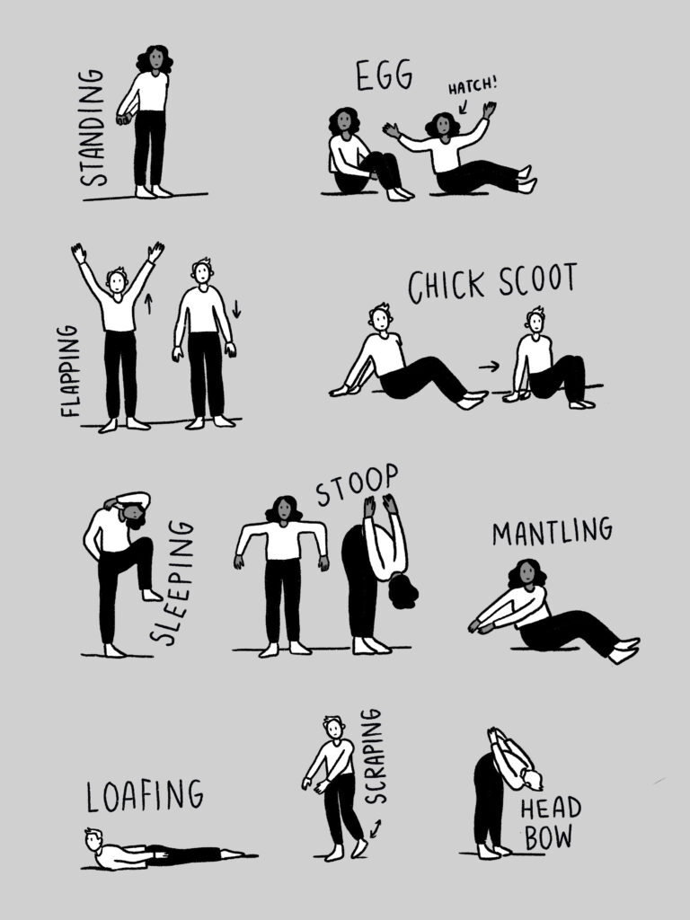 Falcon yoga illustrations