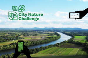 Pioneer Valley. Logo for City Nature Challenge. 2 silhouettes of hands holding phones taking photos of birds and leaves, respectively.